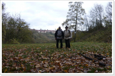 Rothenburg im Hintergrund